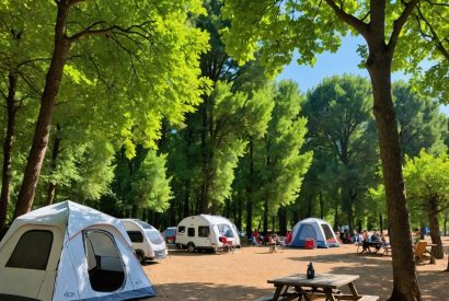 Thumbnail for Les Meilleurs Campings du Sud de la France: Découvrez Votre Coin de Paradis avec Vivre à Toulouse